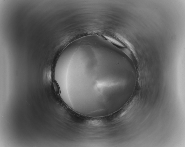 X0000095120067200712211318