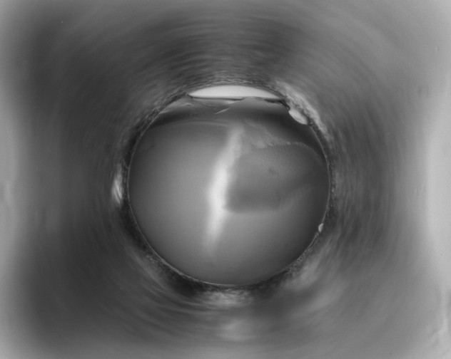 X0000095120069200712211318