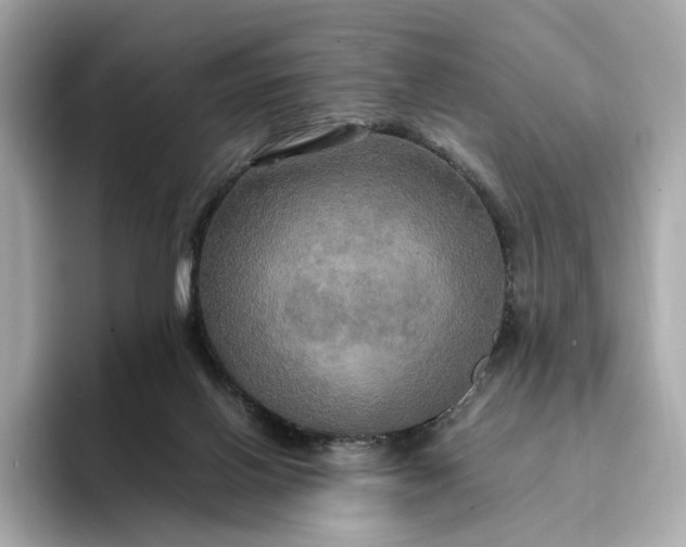 X0000095120070200712211318