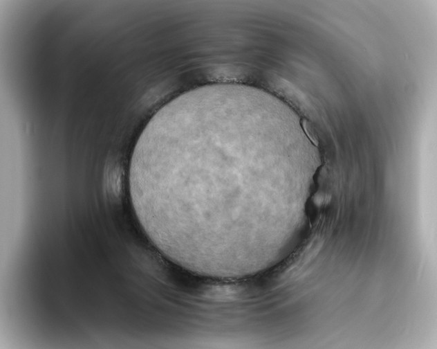 X0000095120071200712211318