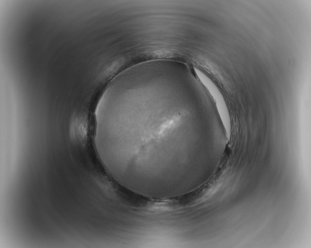 X0000095120072200712211318