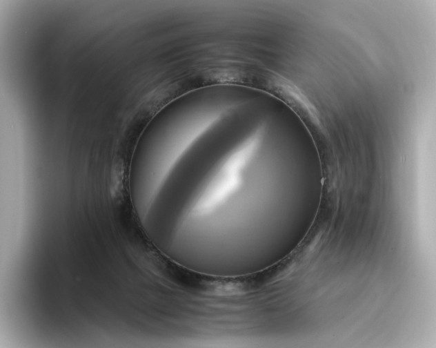 X0000095120073200712211318