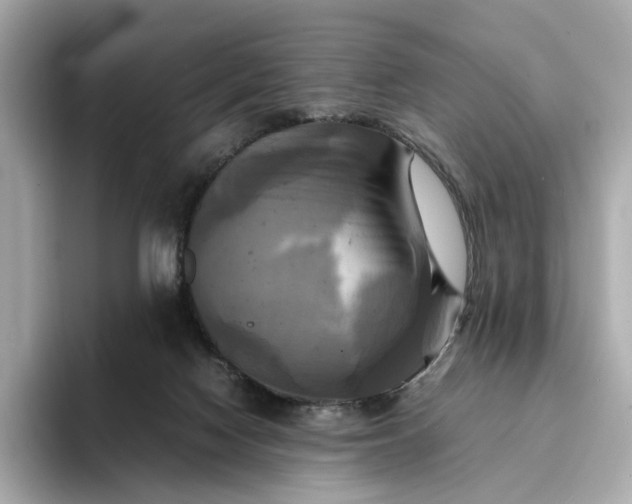 X0000095120074200712211318