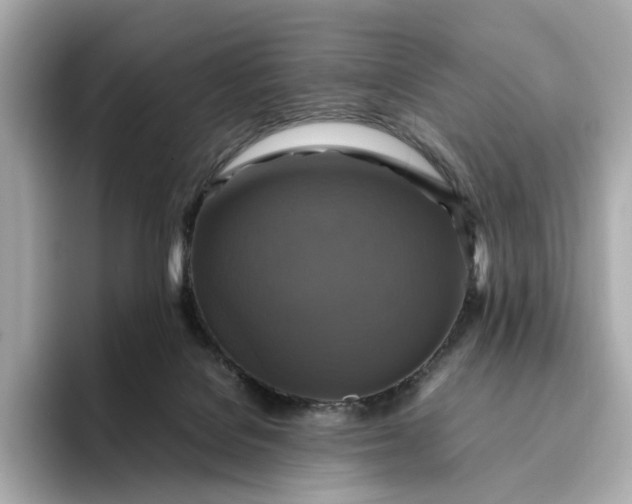 X0000095120076200712211318