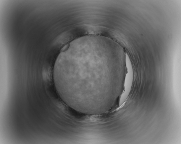 X0000095120078200712211318