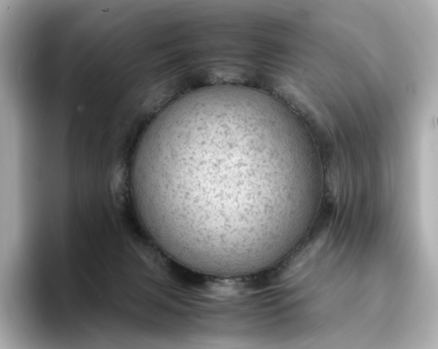 X0000095120079200712211318