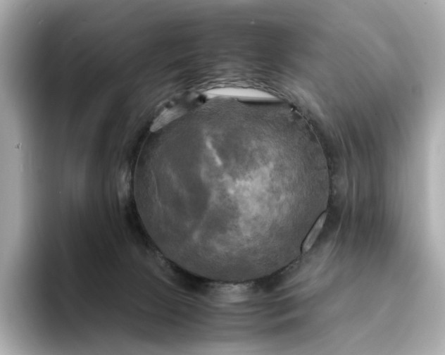 X0000095120081200712211318