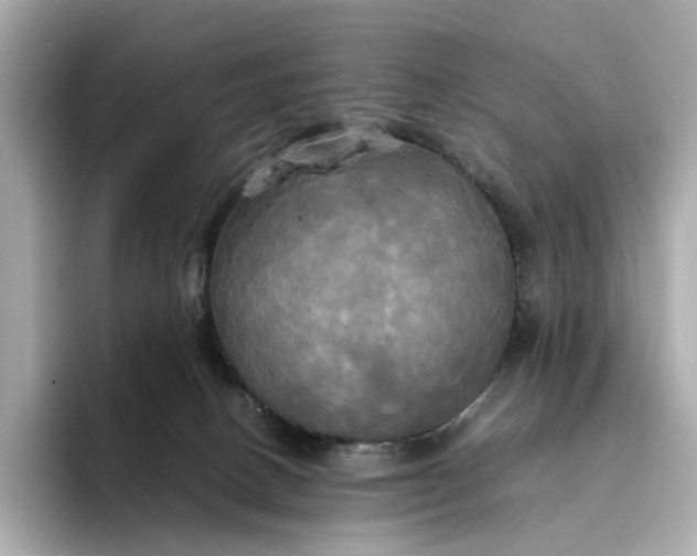 X0000095120082200712211318