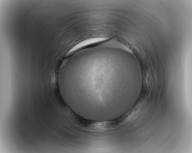 X0000095120084200712211318