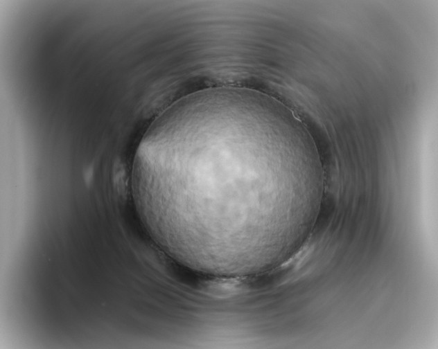 X0000095120086200712211318