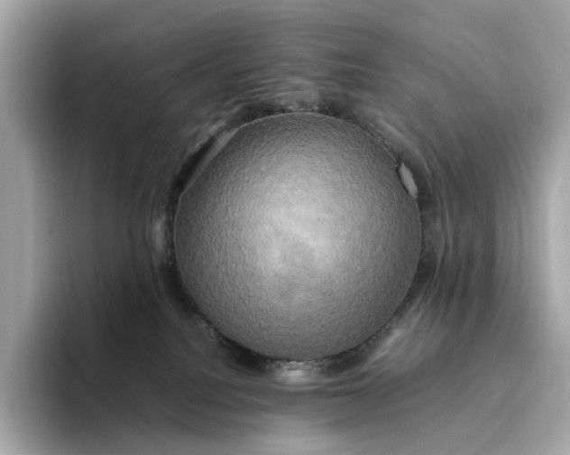 X0000095120088200712211318