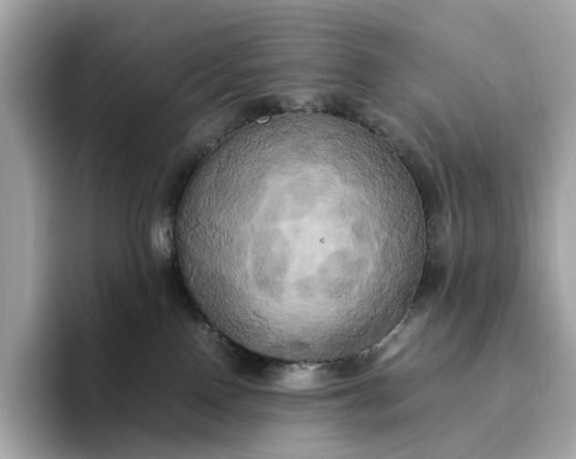 X0000095120090200712211318