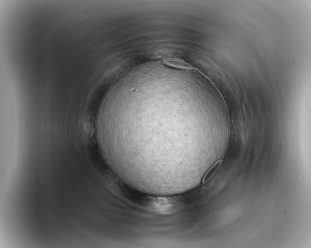 X0000095120091200712211318