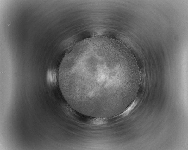 X0000095120094200712211318