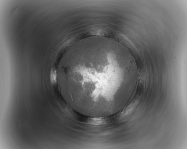 X0000095120095200712211318