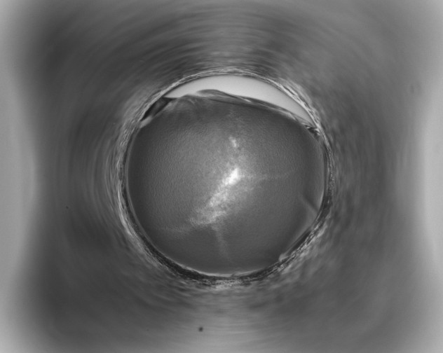 X0000095120097200712211318