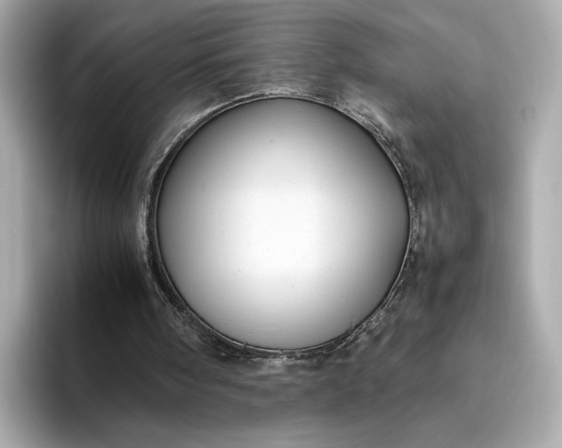 X0000095120098200712211318