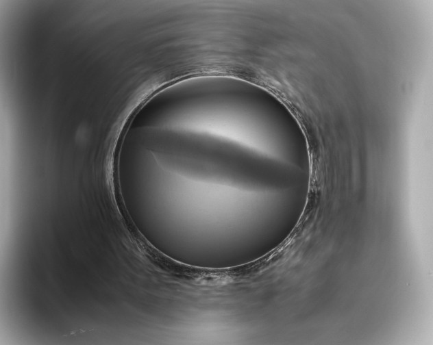 X0000095120099200712211318