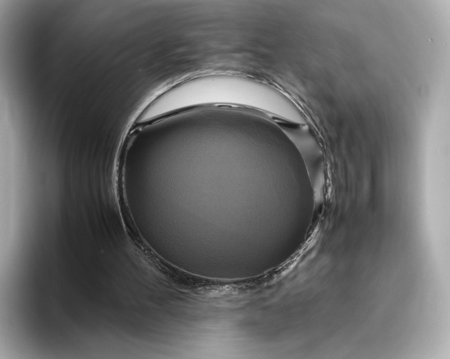 X0000095120100200712211318