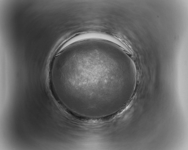 X0000095120101200712211318