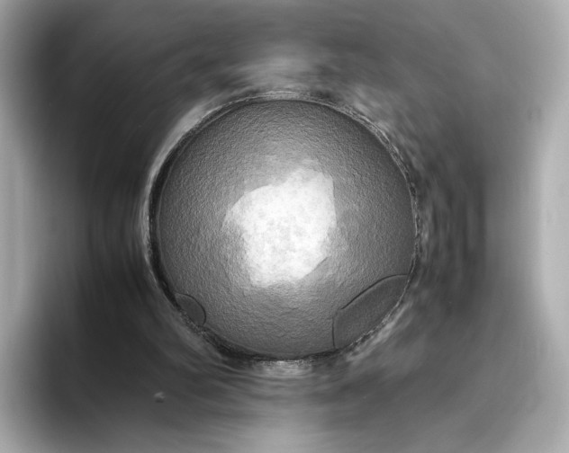 X0000095120102200712211318