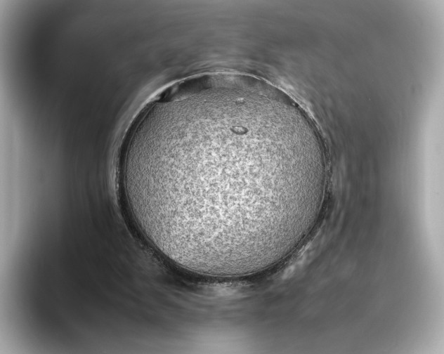 X0000095120103200712211318