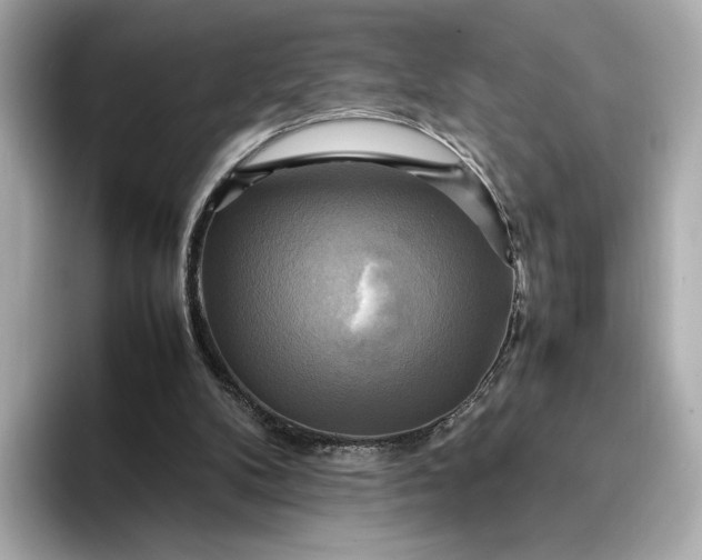 X0000095120104200712211318