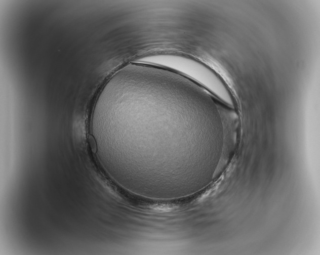 X0000095120105200712211318