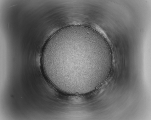 X0000095120106200712211318