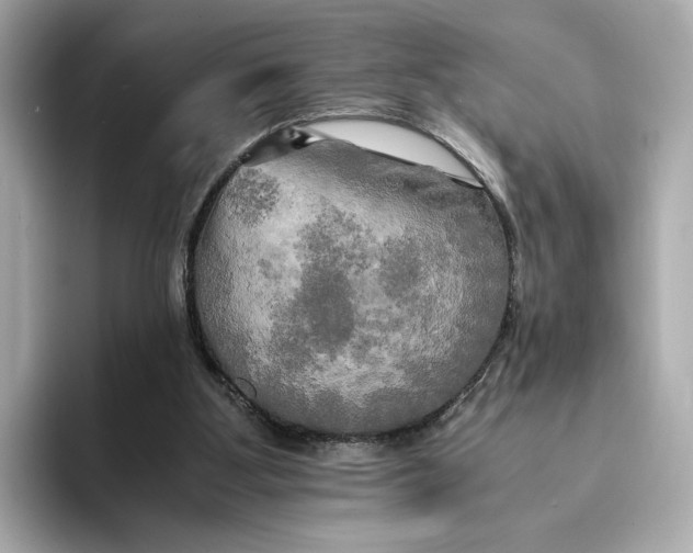 X0000095120107200712211318