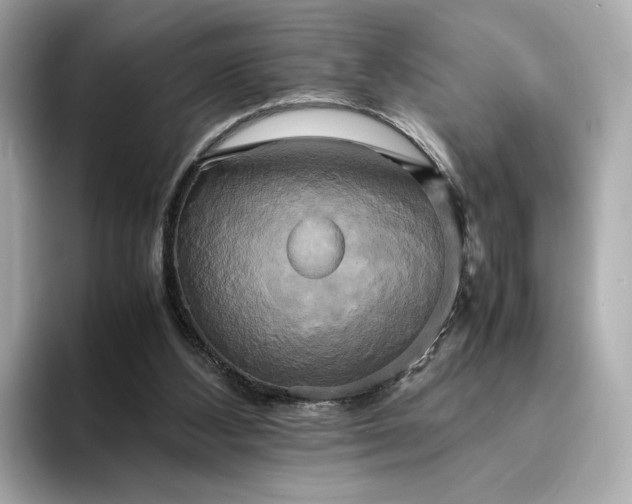 X0000095120108200712211318