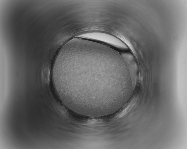 X0000095120109200712211318