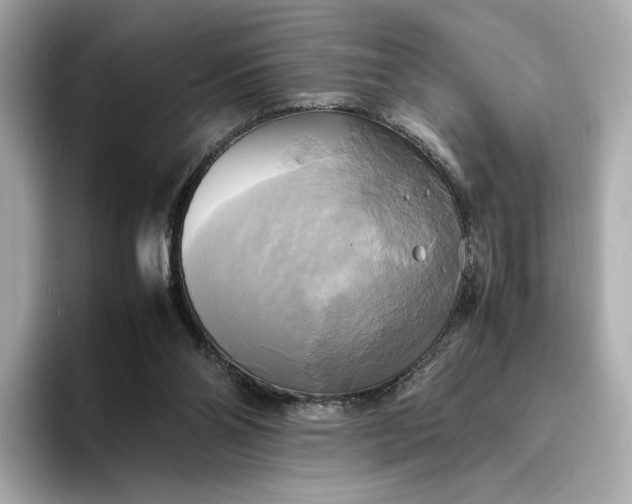 X0000095120110200712211317