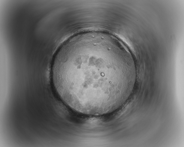 X0000095120111200712211317