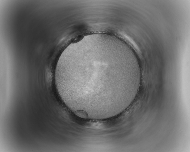 X0000095120113200712211317