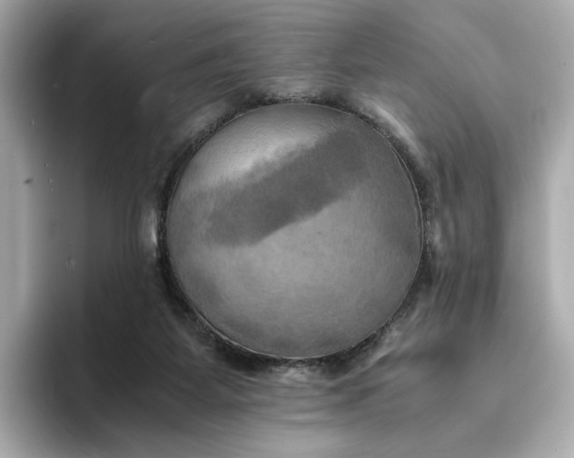 X0000095120115200712211317