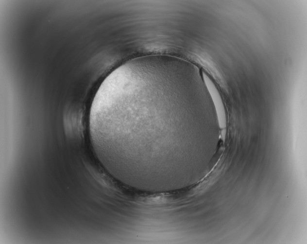 X0000095120116200712211317