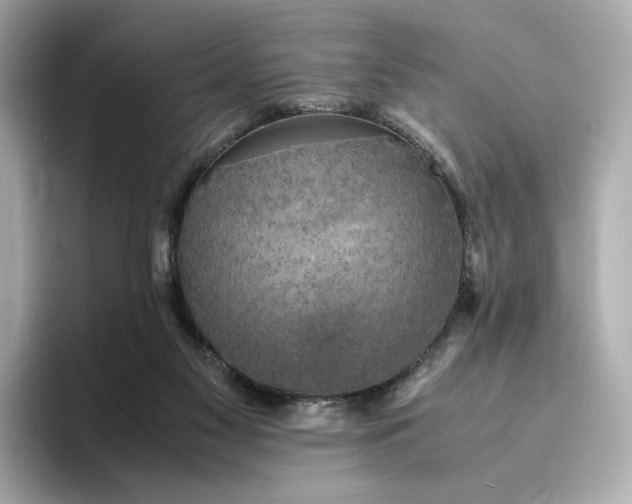 X0000095120117200712211317