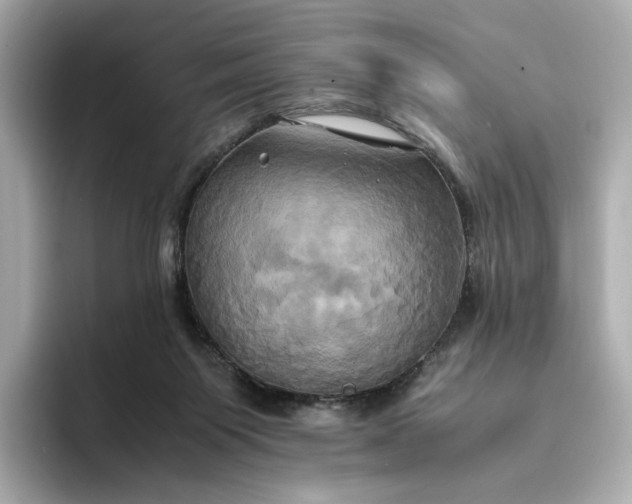 X0000095120119200712211317