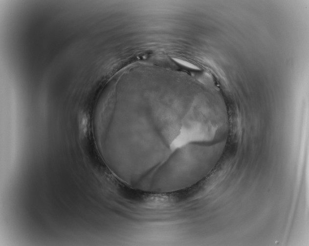 X0000095120123200712211317