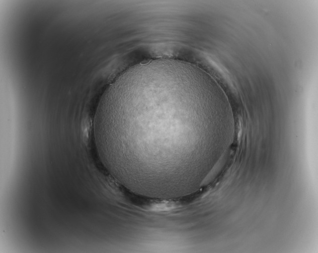 X0000095120125200712211317