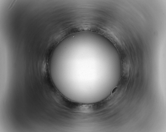 X0000095120126200712211317