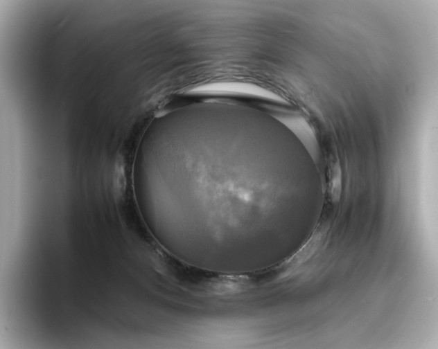 X0000095120128200712211317