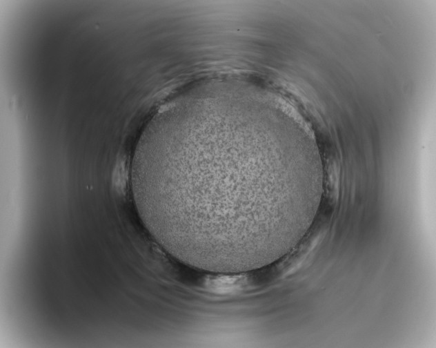 X0000095120129200712211317