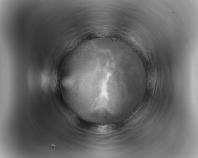 X0000095120130200712211317