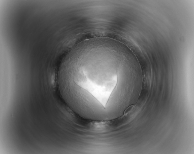 X0000095120134200712211317