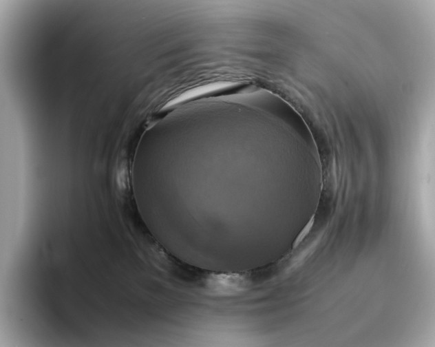 X0000095120137200712211317