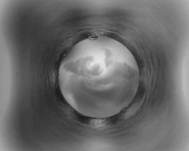 X0000095120139200712211317