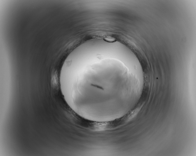 X0000095120143200712211317