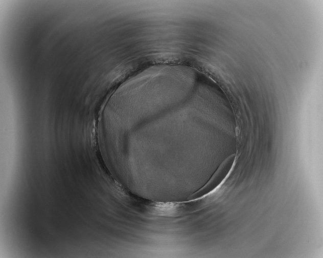 X0000095120144200712211317